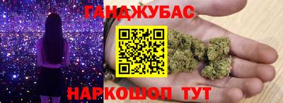 сатива Обь
