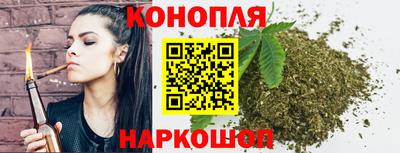 сатива Обь